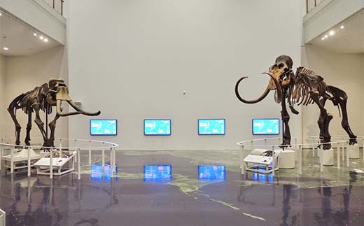 æŽå²ãšæåã®åæµ·é3通å
±éåž äžè¬1åæ§åãšåæµ·éå°åé宿
è¡ã¯ãŒãã³15,000ååïŒEã¡ãŒã«çºè¡ïŒ äººæ° ãããã å©çšåž ãã±ãã F6S-521