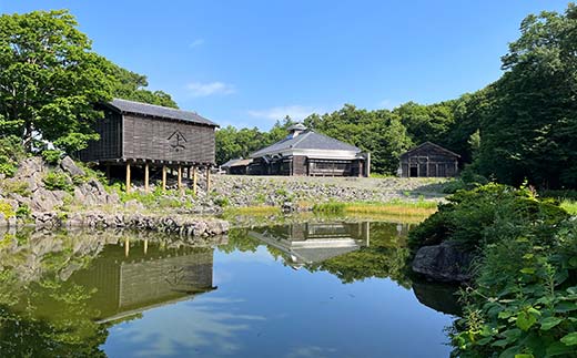 歴史と文化の北海道3館共通券 一般2名様分 人気 おすすめ 利用券 チケット F6S-520