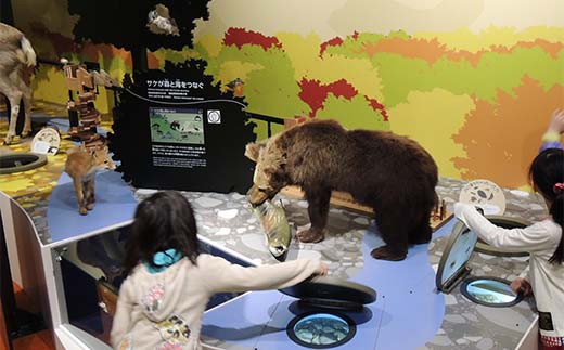 æŽå²ãšæåã®åæµ·é3通å
±éåž äžè¬1åæ§åãšåæµ·éå°åé宿
è¡ã¯ãŒãã³15,000ååïŒEã¡ãŒã«çºè¡ïŒ äººæ° ãããã å©çšåž ãã±ãã F6S-521