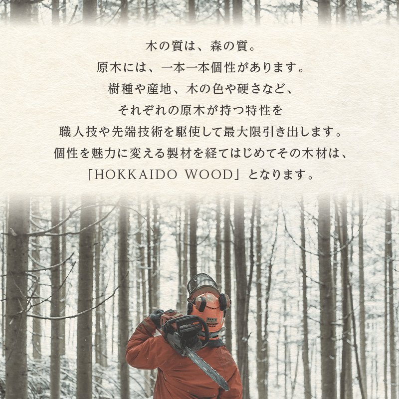 木製オブジェ「car／S」 木製 HOKKAIDO WOOD F6S-258