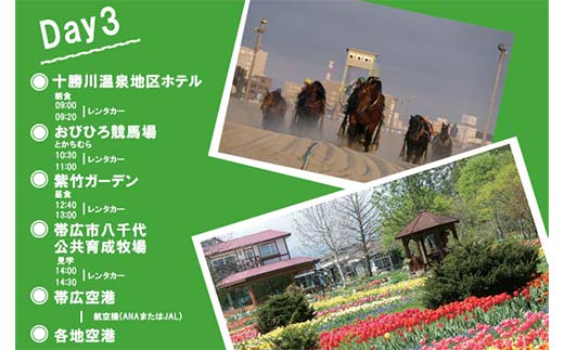 地域限定旅行クーポン300,000円分 日本旅行 トラベルクーポン 納税チケット 旅行 宿泊券 ホテル 観光 旅行 旅行券 交通費 体験 宿泊 夏休み 冬休み 家族旅行 ひとり旅 カップル 夫婦 親子 北海道旅行 F6S-144