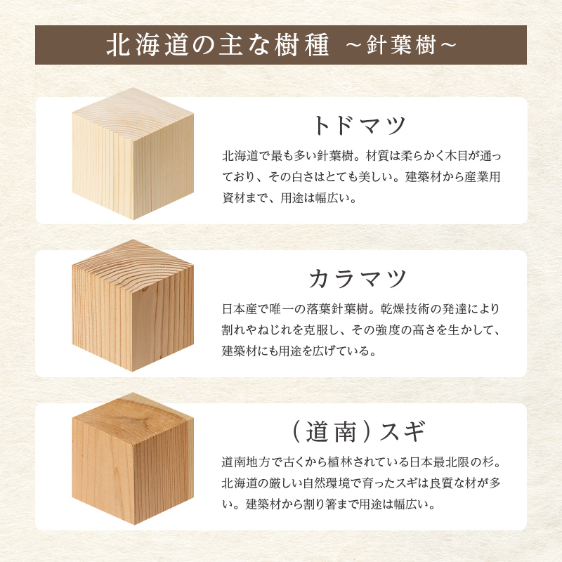 PWスツール（レッドオレンジ）木製 HOKKAIDO WOOD F6S-260