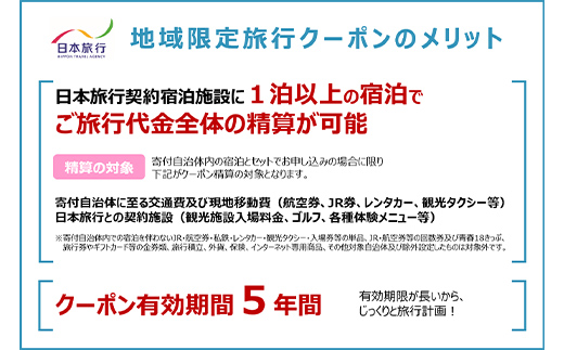 北海道 日本旅行 地域限定旅行クーポン 300,000円分 チケット 旅行 宿泊券 ホテル 観光 旅行 旅行券 宿泊 夏休み 冬休み F6S-144