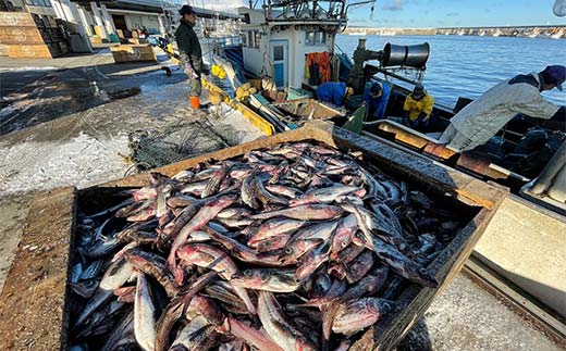 雪たらこ400g 北のハイグレード食品 タラコ 魚卵 ご飯のお供 おかず 海産物 噴火湾 スケソウダラ F6S-477