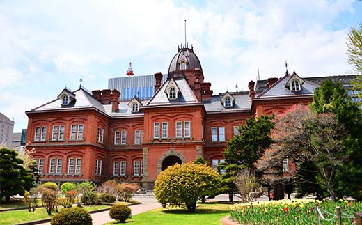 歴史と文化の北海道3館共通券 一般1名様分 人気 おすすめ 利用券 チケット F6S-519