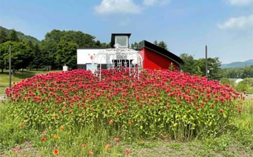 赤いはちみつ140g 北のハイグレード食品2024 F6S-155