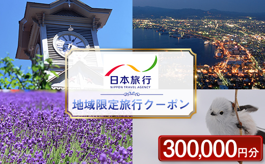 北海道 日本旅行 地域限定旅行クーポン 300,000円分 チケット 旅行 宿泊券 ホテル 観光 旅行 旅行券 宿泊 夏休み 冬休み F6S-144