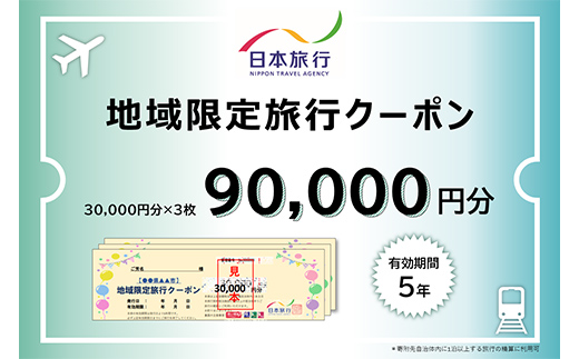 北海道 日本旅行 地域限定旅行クーポン 90,000円分 チケット 旅行 宿泊券 ホテル 観光 旅行 旅行券 宿泊 夏休み 冬休み F6S-142