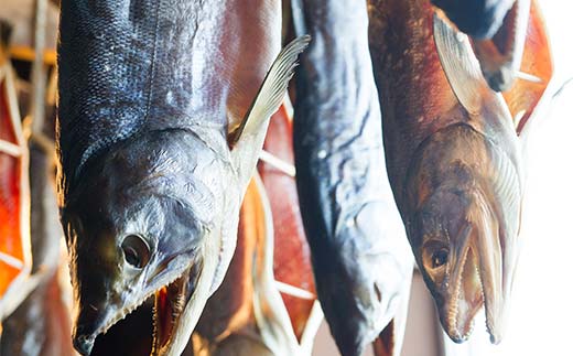 èµé ãå¡©åŒãé® 6åè©°åã åã®ãã€ã°ã¬ãŒãé£å åæµ·é ã·ã£ã± é® ãã ãµã± é éä» æµ·ç£ç© é£å F6S-561