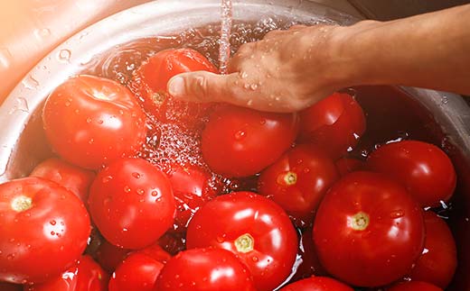 有機栽培トマトジュース ゆうきくん 20缶 食絶景北海道×ゼロカーボンアワード2023優秀賞 トマト ジュース 飲料 完熟 有機栽培 ロングセラー F6S-418