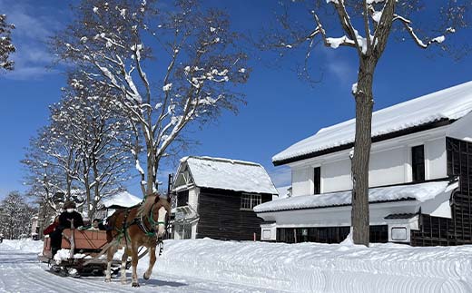 歴史と文化の北海道3館共通券 一般1名様分 人気 おすすめ 利用券 チケット F6S-519