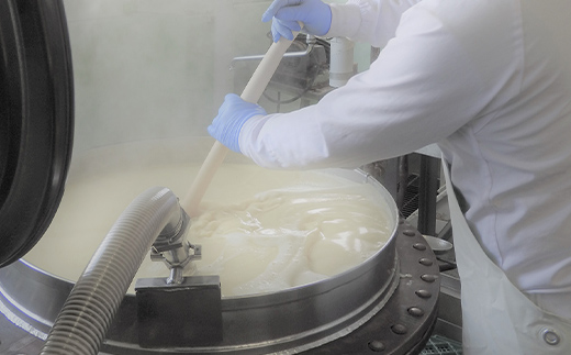 豆乳仕立てのコーンスープ10缶 北のハイグレード食品 コーン とうもろこし スープ 豆乳 北海道 F6S-419