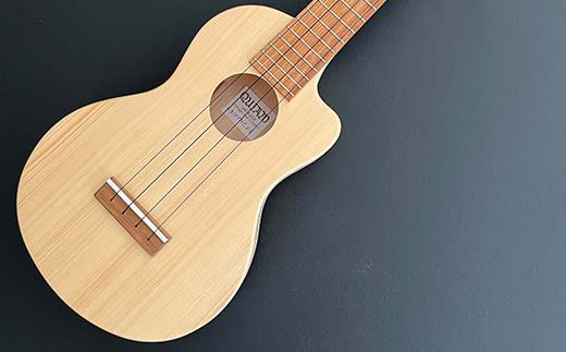 【ふるさと納税】Through neck Concert  ウクレレ 楽器 弦楽器 音楽 演奏 HOKKAIDO WOOD  F6S-204