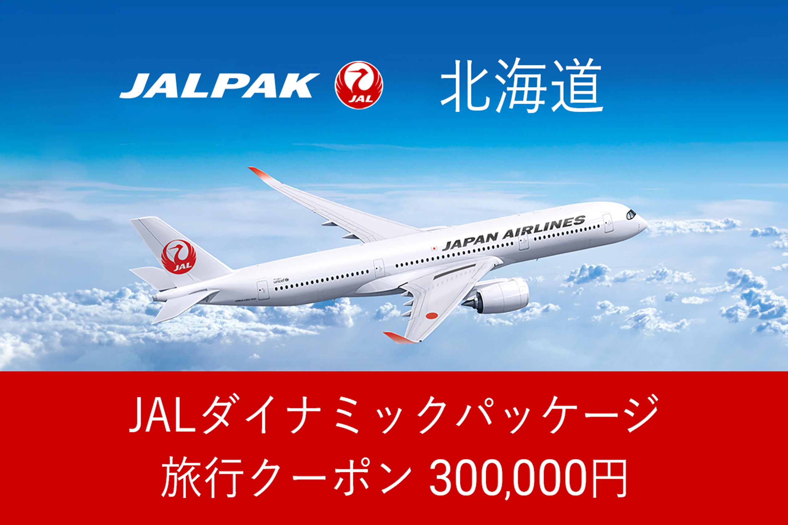 【北海道】300,000円分JALダイナミックパッケージ旅行クーポン F6S-151