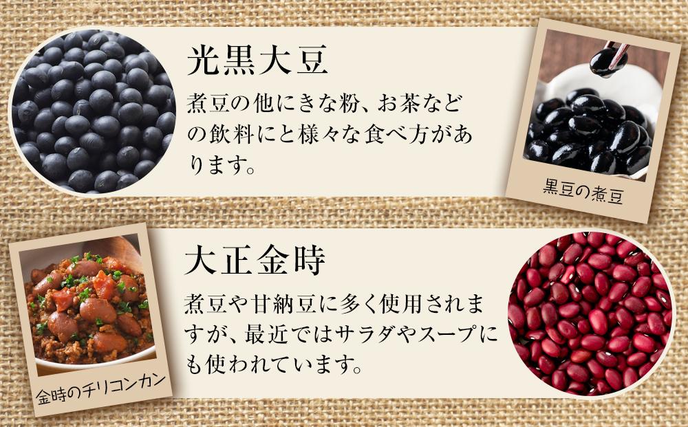 ホクレン　北海道の豆セット
