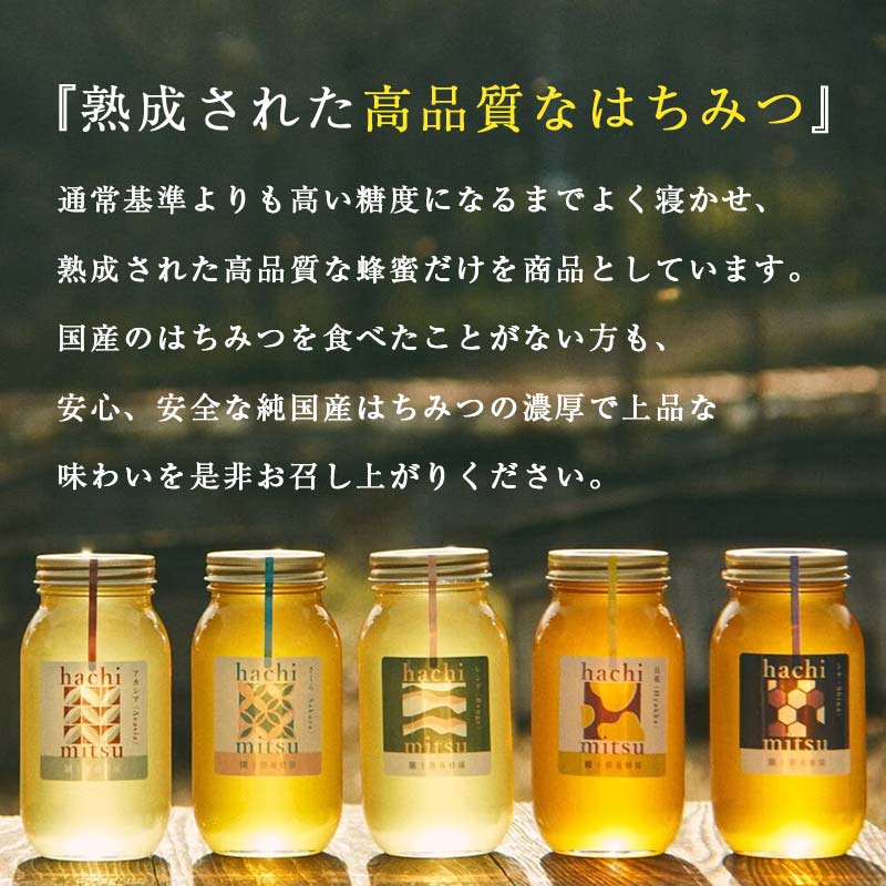 【北のハイグレード2024】シナ(菩提樹)蜂蜜300gx1 F6S-472