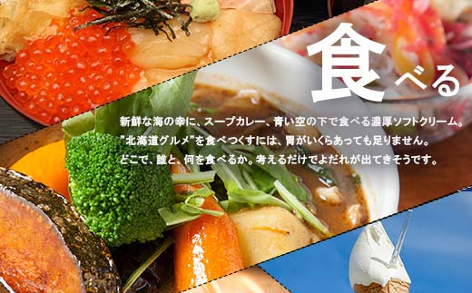 【ふるさと納税】北海道 日本旅行 地域限定旅行クーポン150,000円分(Eメール発行) チケット 旅行 宿泊券 ホテル 観光 旅行 旅行券 交通費 体験  宿泊 夏休み 冬休み  F6S-345