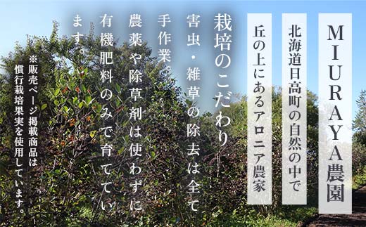 生搾りアロニア900ml 12本 北のハイグレード食品2024 日本ギフト大賞2024北海道賞 F6S-236