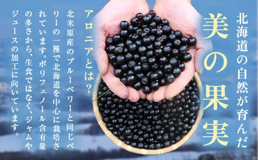 生搾りアロニア900ml 12本 北のハイグレード食品2024 日本ギフト大賞2024北海道賞 F6S-236