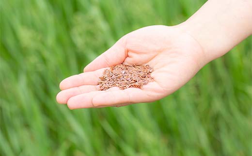 OilDOオメガ3北海道産亜麻仁（あまに）油 北のハイグレード食品 食用油 植物油 ドレッシング 食品 F6S-481