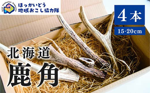 【ふるさと納税】北海道湧別町産 鹿角（15〜20cm） 4本 地域おこし協力隊関連返礼品  F6S-224