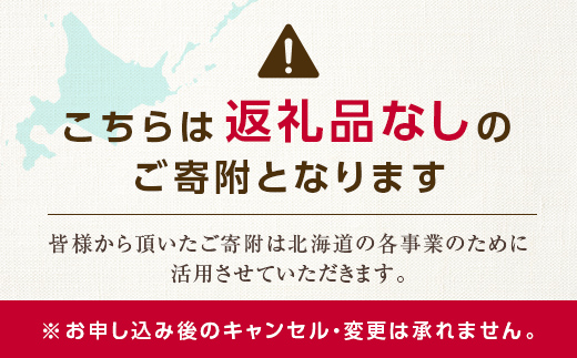 【ふるさと寄附金】北海道庁 5,000円 返礼品なしのご寄附 応援 エール 寄附のみ 返礼品なし 返礼品なしの寄附  F6S-686