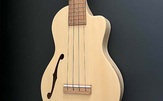 【ふるさと納税】TNC CustomF200 ウクレレ 楽器 弦楽器 音楽 演奏 HOKKAIDO WOOD  F6S-206