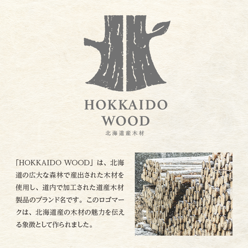 木製オブジェ「car／S」 木製 HOKKAIDO WOOD F6S-258