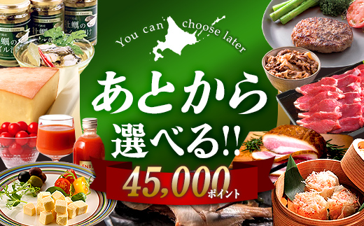 【あとから選べるリンベルデジタルギフト】北海道ふるさとギフト 45,000point 北海道 デジタルギフト カタログギフト ギフト券 ギフトリスト チケット ポイント制 後から選べる プレゼント 贈り物 高額 ギフト 人気 おすすめ F6S-674