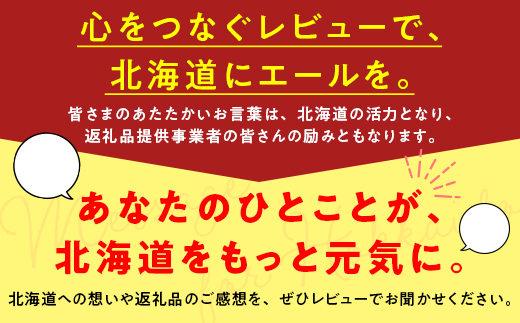 フリーズドライチーズ10点セット 北のハイグレード食品 おつまみ 詰め合わせ 珍味 スナック 保存食 グルメ F6S-532