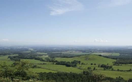 北のハイグレード食品S受賞！大豆まるごと・低糖質「とかち大豆のグラノーラ」豆ミックス170ｇ×3Pセット F6S-044