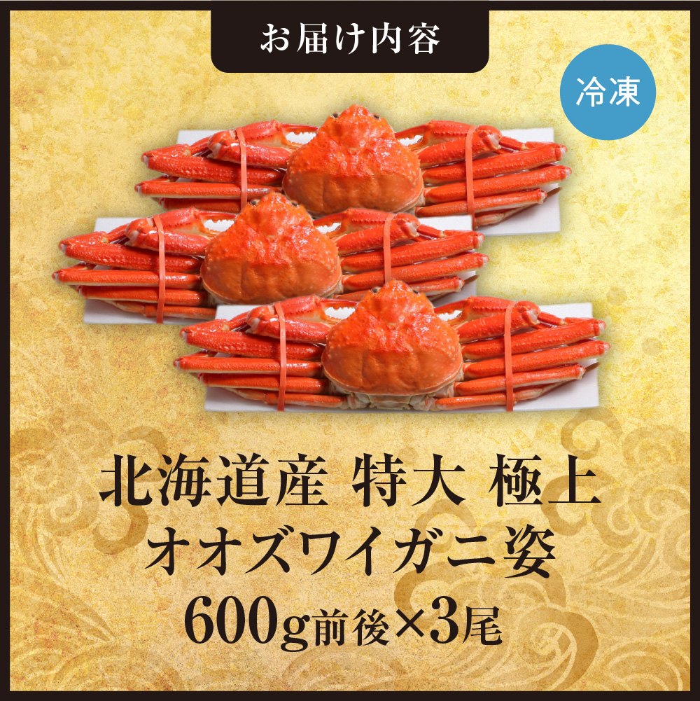 北海道産特大極上オオズワイガニ姿　600g前後×3尾セット