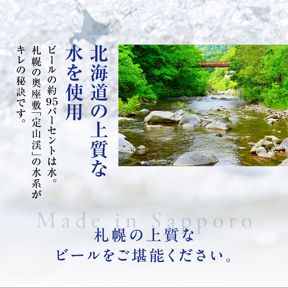 アサヒ生ビール≪マルエフ≫＜500ml＞24缶 2ケース 北海道工場製造