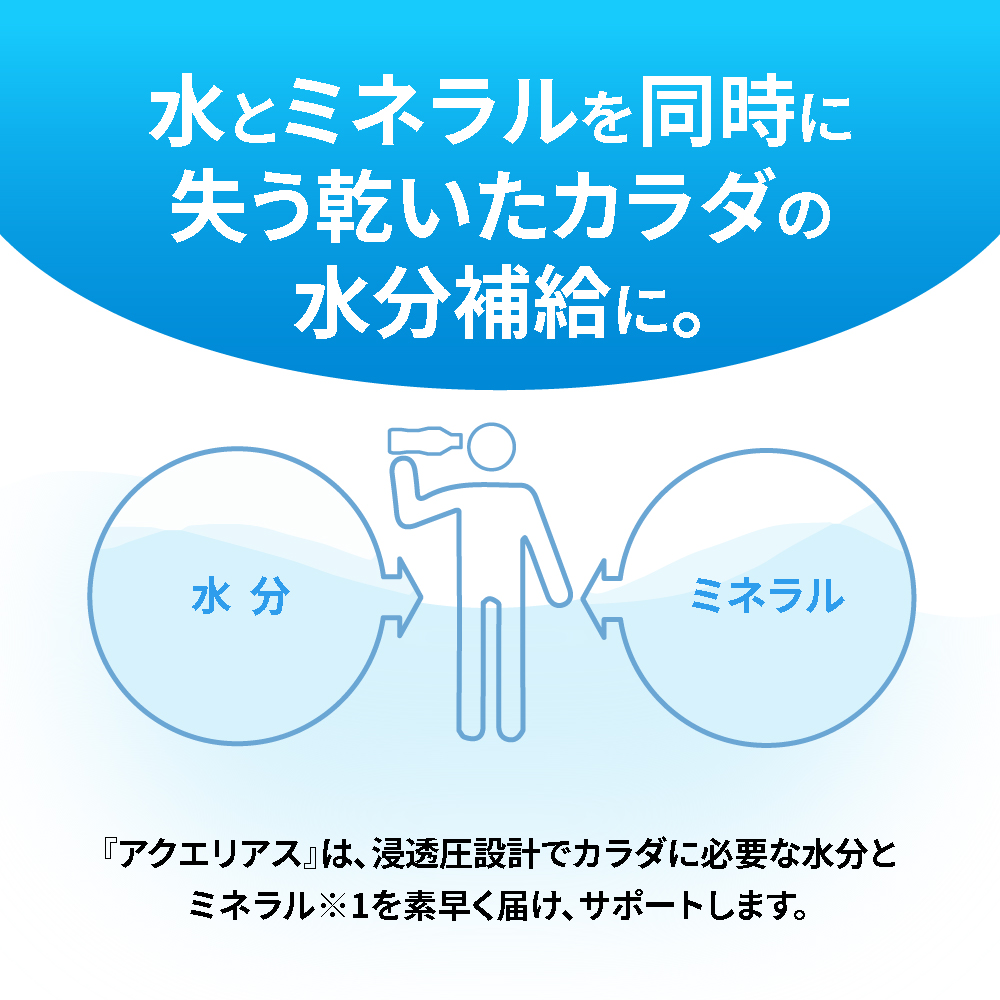 【3ヶ月定期便】アクエリアス500mlPET×48本｜コカ・コーラ 飲料 ドリンク 飲み物 スポーツドリンク スポドリ 北海道 札幌市
