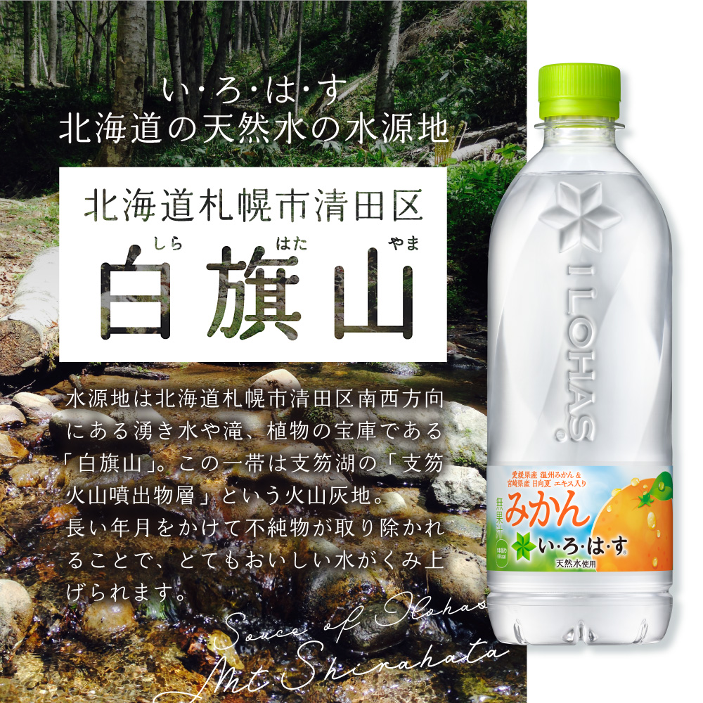 ãïŒã¶æå®æäŸ¿ããã»ãã»ã¯ã»ã ã¿ããã540mlPETÃ24æ¬ïœã³ã«ã»ã³ãŒã© é£²æ æ°Ž èæ ãã¬ãŒã㌠ããã¯ã åæµ·é æå¹åž