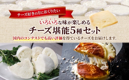 ãã¡ãããªã¢ããª å ªèœ5çš®ã»ãã ïœ ãã¡ãããªã¢ããªåæµ·é ããŒãº ãµã©ã é£ã¹æ¯ã¹ åæµ·é æå¹åž