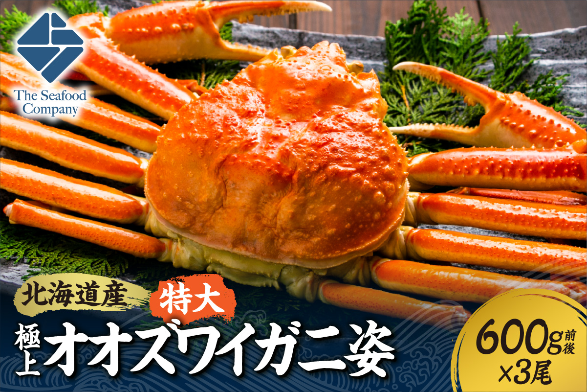 北海道産特大極上オオズワイガニ姿　600g前後×3尾セット