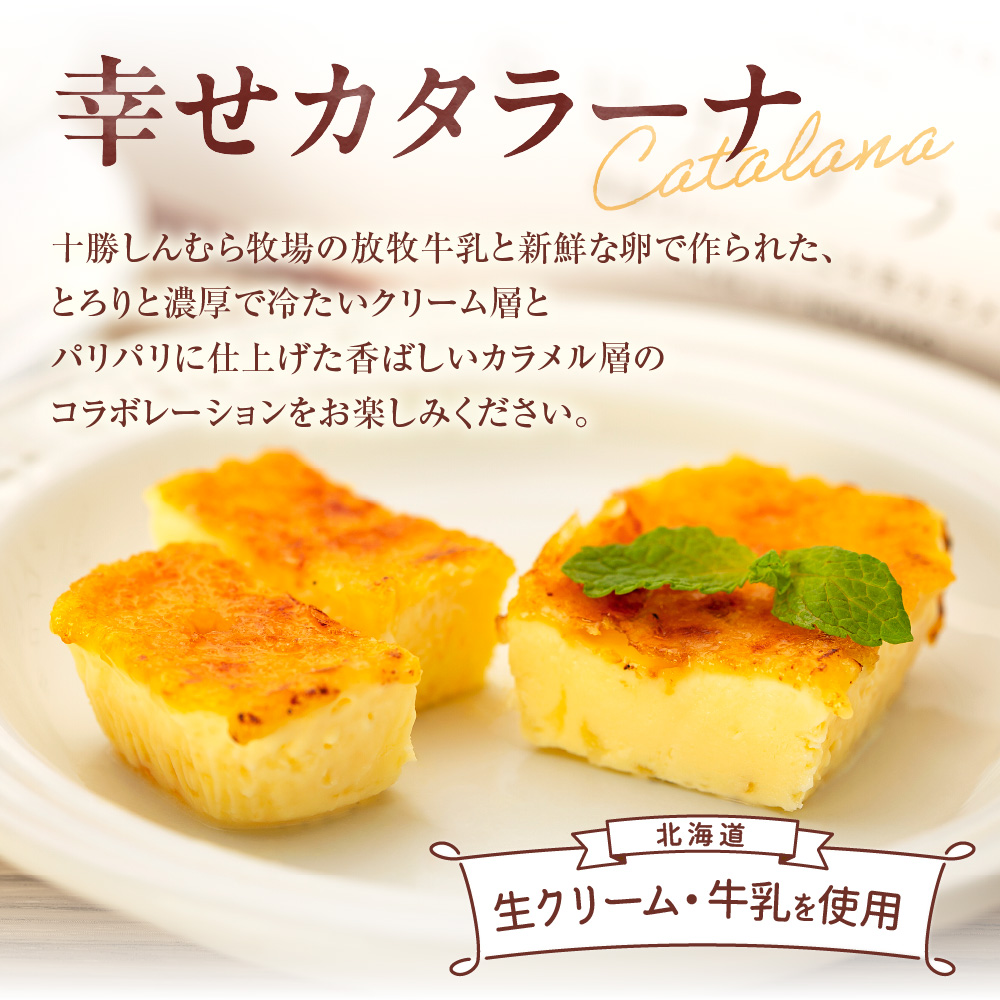 幸せカタラーナS×2