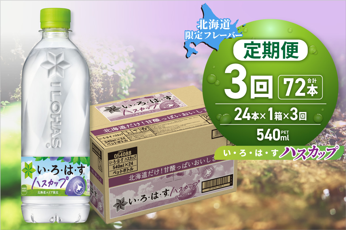 【３ヶ月定期便】い・ろ・は・す ハスカップ　540mlPET×24本｜コカ・コーラ 北海道限定 フレーバー 飲料  水 いろはす 北海道 札幌市