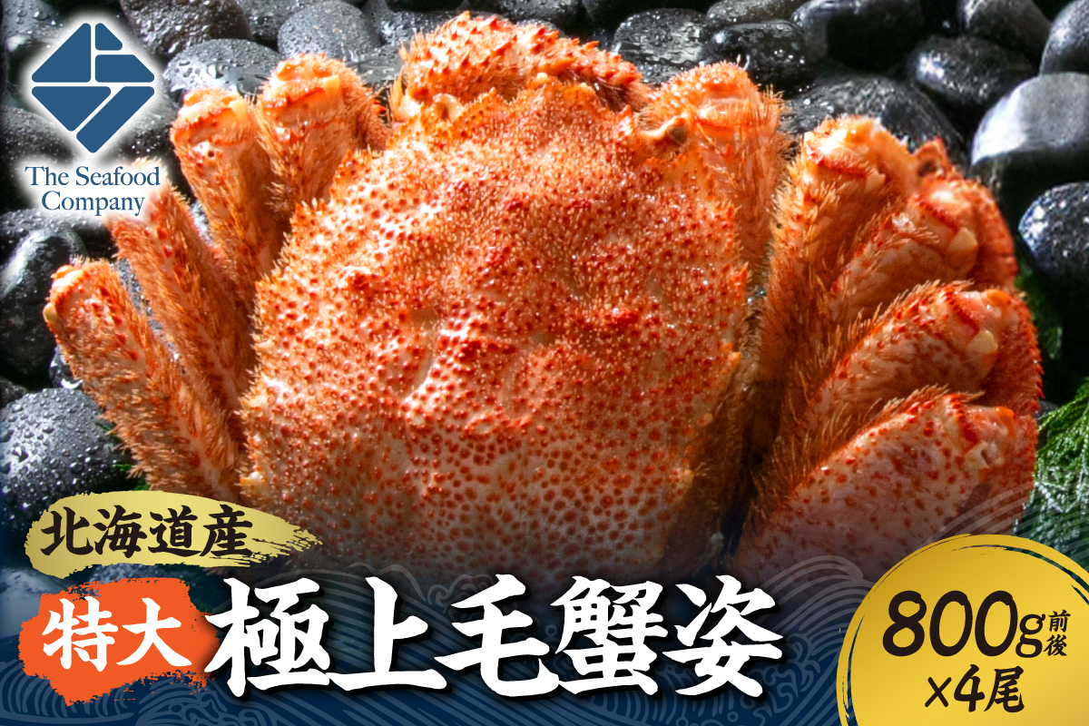 特大極上毛蟹姿　800g前後×4尾セット