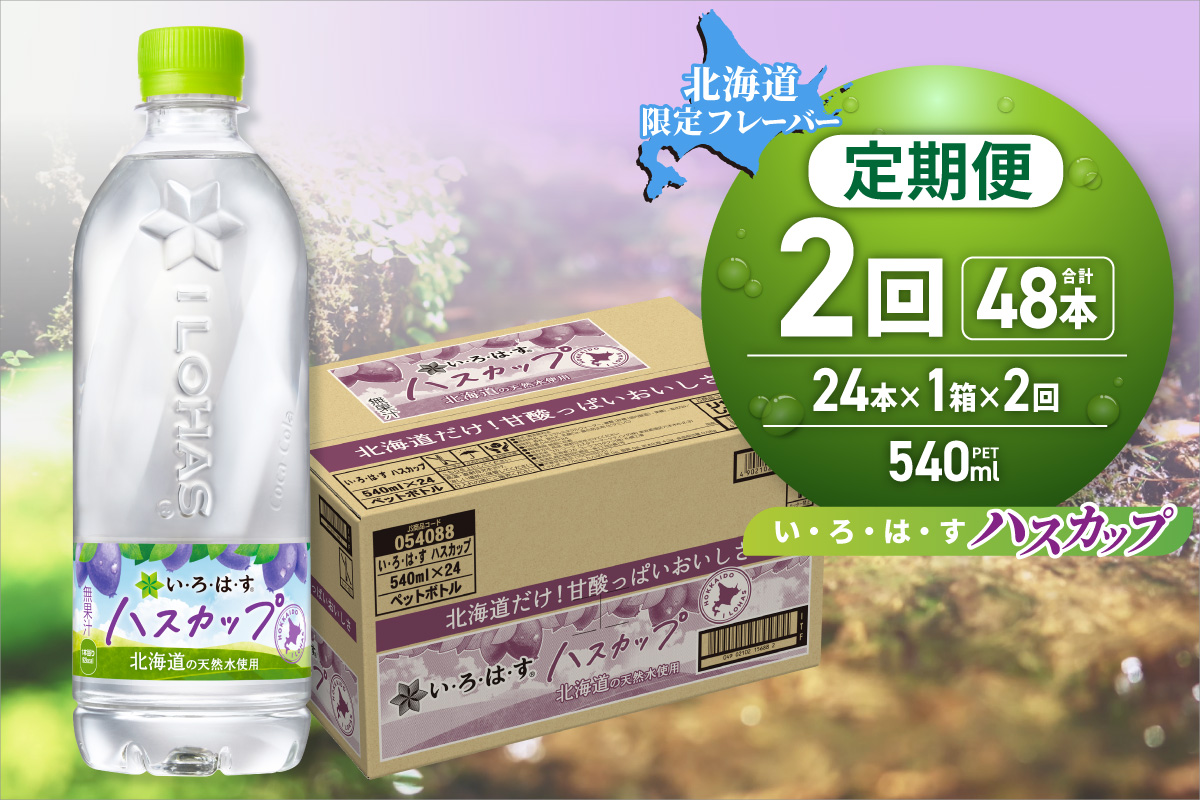 [2ヶ月定期便]い・ろ・は・す ハスカップ 540mlPET×24本|コカ・コーラ 北海道限定 フレーバー 飲料 水 いろはす 北海道 札幌市