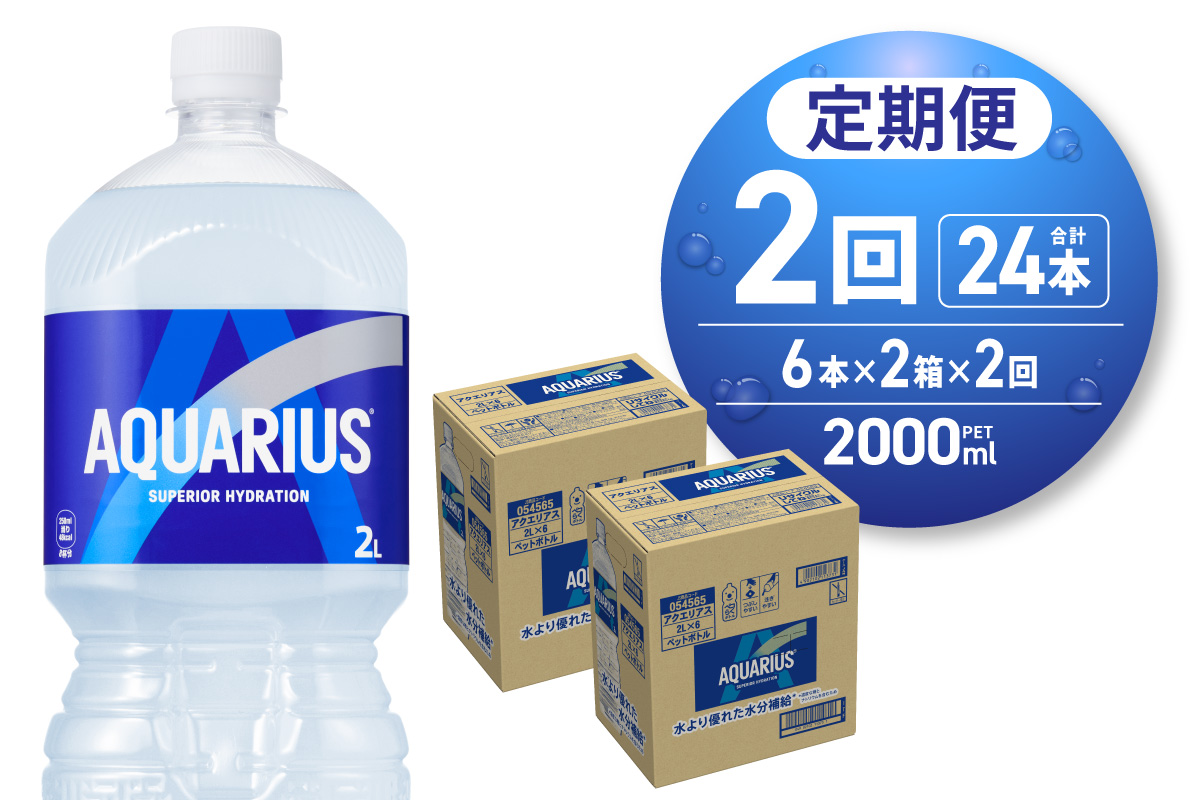 【２ヶ月定期便】アクエリアス　2000mlPET×12本