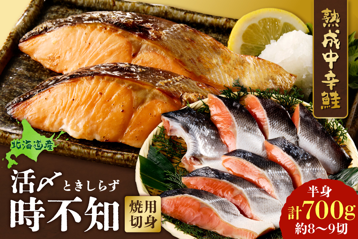 鮮度の良い時不知鮭だけを厳選！鮭乃丸亀　熟成中辛鮭（活〆時不知）切身