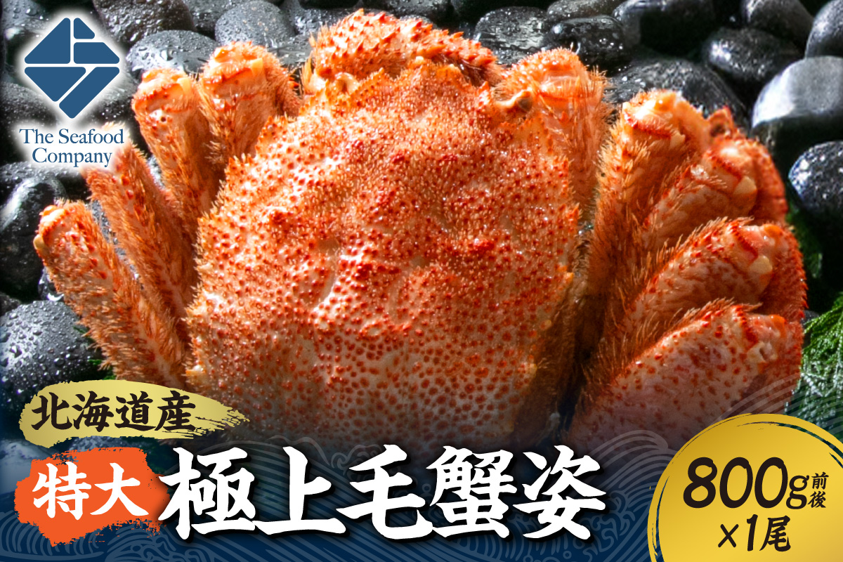 特大極上毛蟹姿　800g前後×1尾