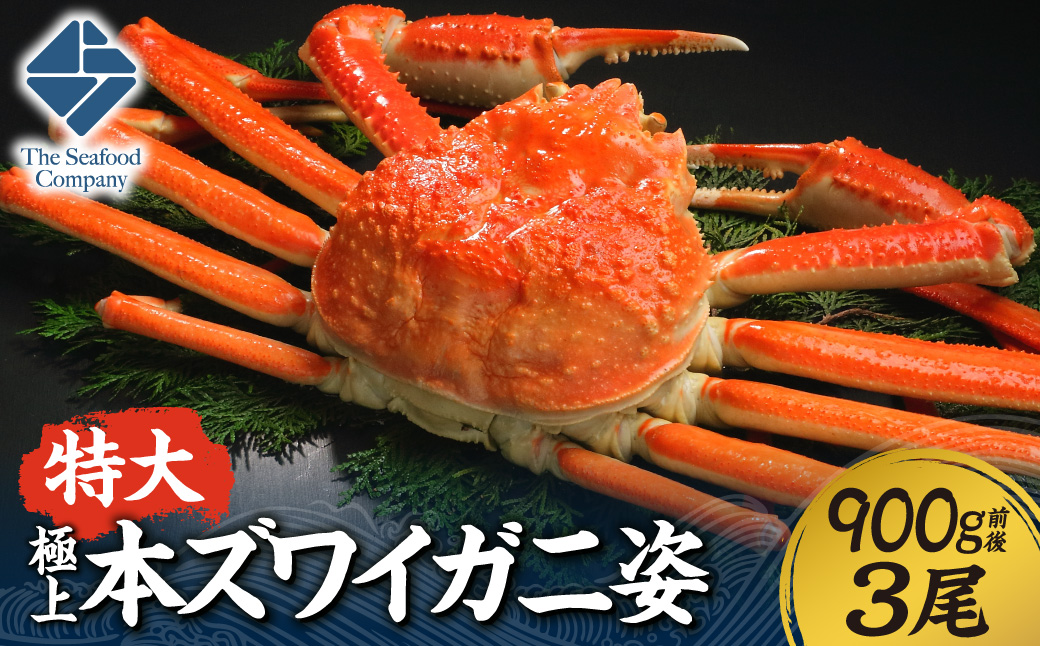 極上！特大本ズワイ蟹の姿　本ズワイ蟹　900g　3尾 | カニ ずわいガニ 海鮮 北海道 札幌市