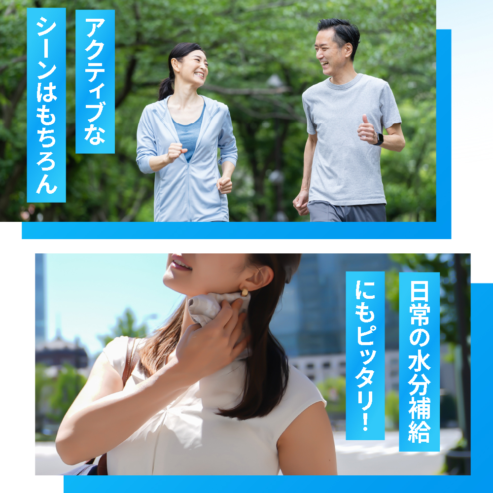 【3ヶ月定期便】アクエリアス500mlPET×48本｜コカ・コーラ 飲料 ドリンク 飲み物 スポーツドリンク スポドリ 北海道 札幌市