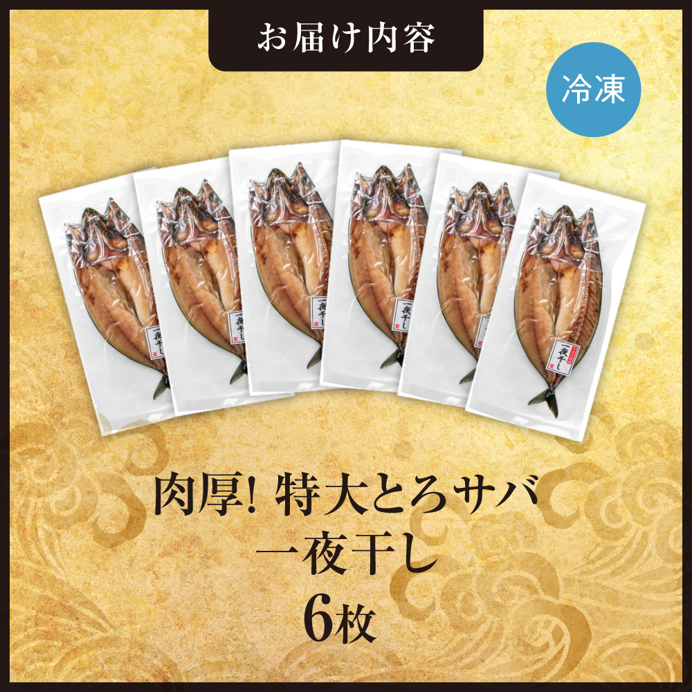 肉厚！特大とろサバ一夜干し　6枚セット