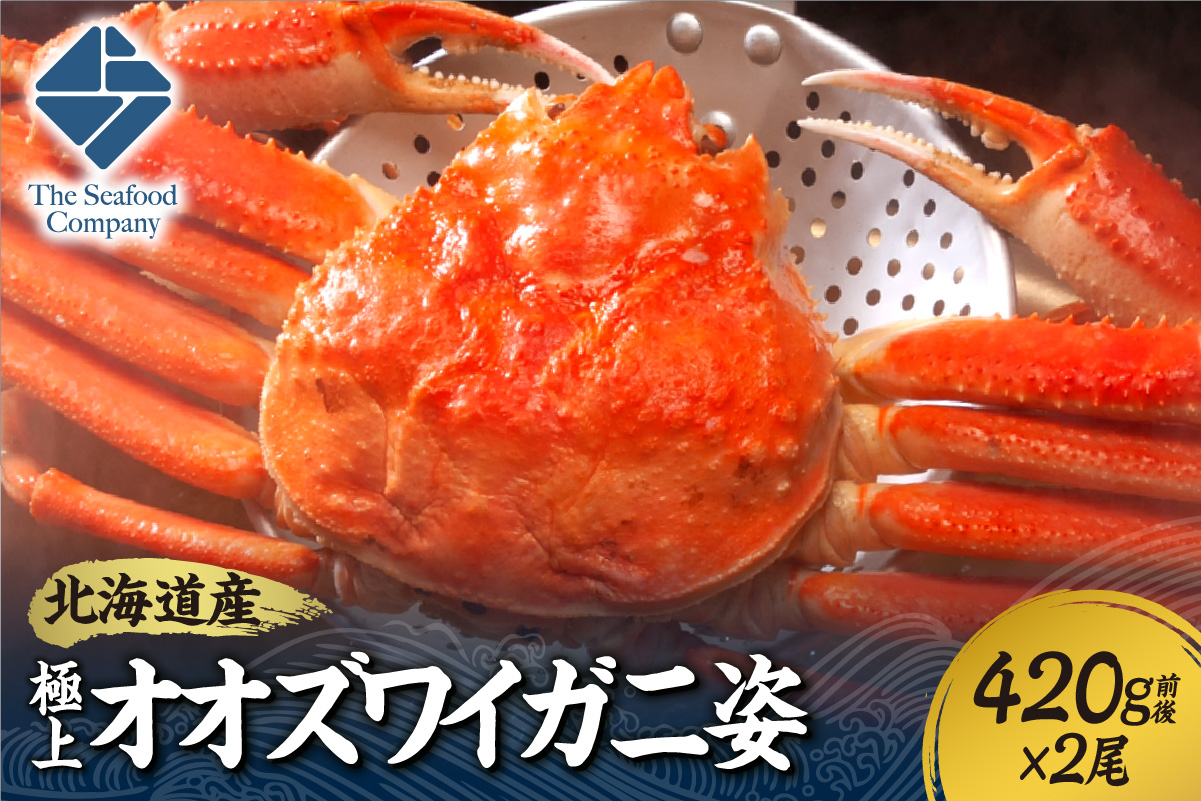 北海道産極上オオズワイガニ姿　420g前後×2尾セット