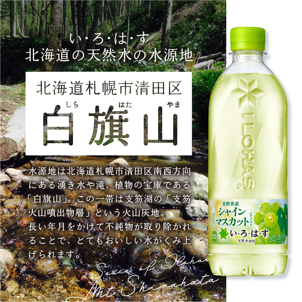 ãã»ãã»ã¯ã»ã ã·ã£ã€ã³ãã¹ã«ãã540mlPETÃ48æ¬