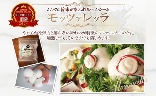 モッツァレラ 100g×3｜チーズ モッツァレラチーズ 北海道 札幌市